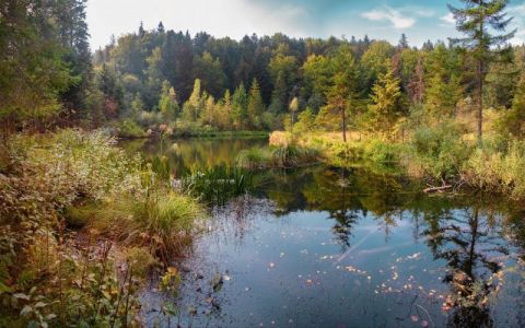 Мертве озеро, Журавлине