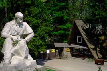 Шевченківський гай